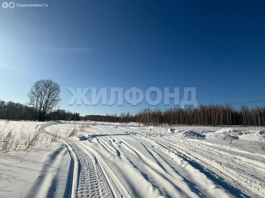 Участок в Новосибирская область, рабочий посёлок Кольцово, 6-й ... - Фото 1