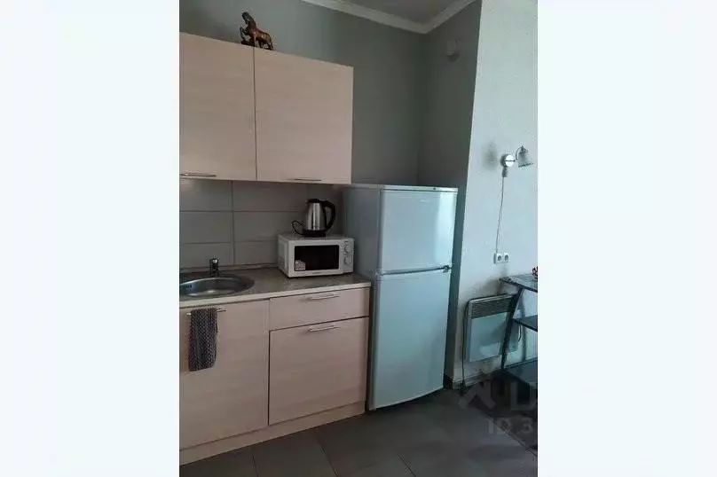 1-к кв. Крым, Алупка ул. Ленина, 31Е (25.0 м) - Фото 2