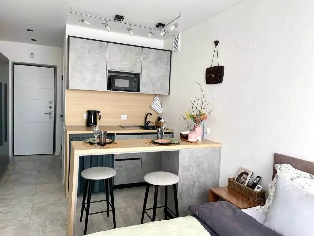 Студия Смоленская область, Смоленск проезд Маршала Конева, 32 (25.0 м) - Фото 2