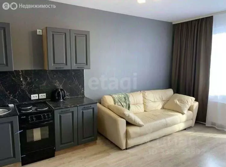 Квартира-студия: Санкт-Петербург, Муринская дорога, 16к2 (30.7 м) - Фото 2