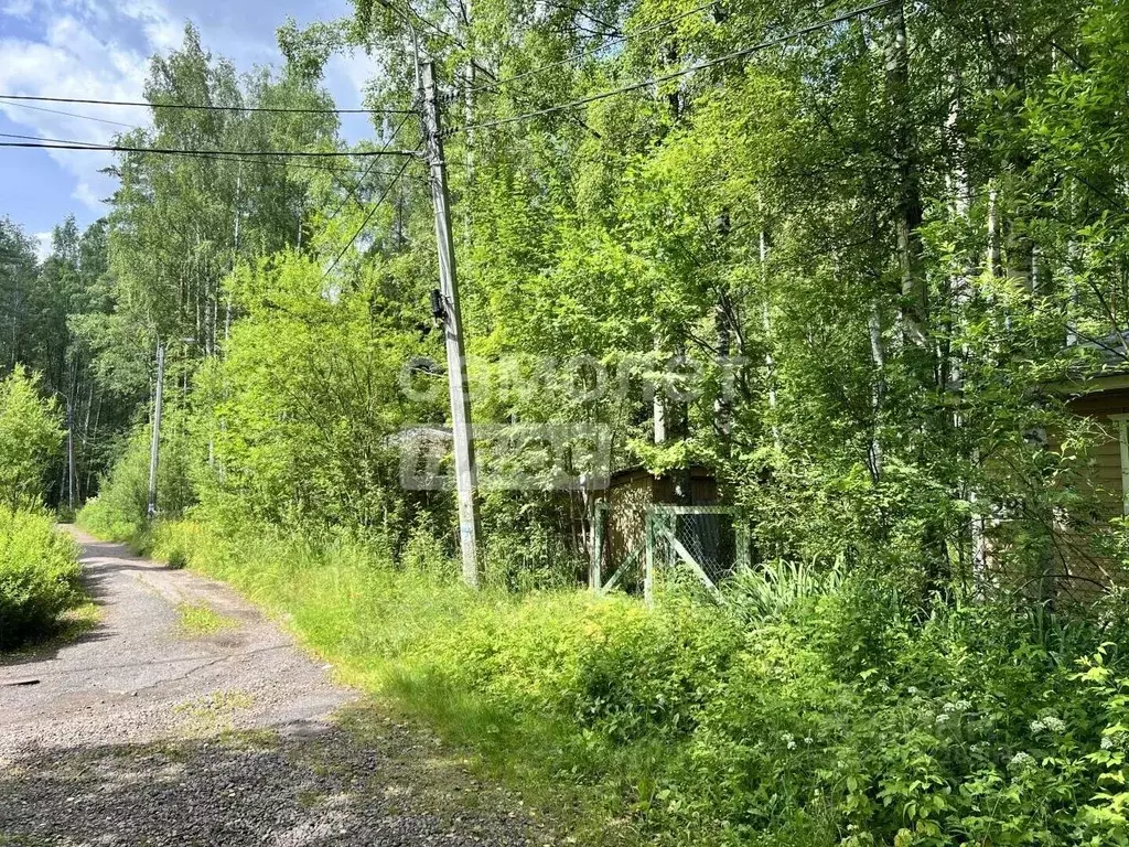 Участок в Санкт-Петербург пос. Репино, ул. 1-я Северная, 221 (15.0 ... - Фото 2