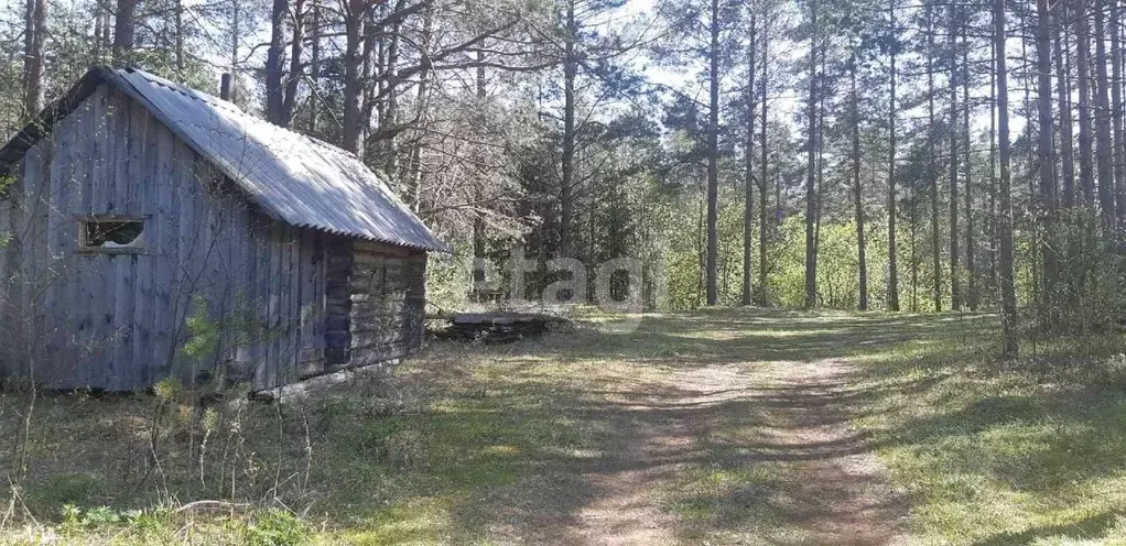 Участок в Вологодская область, Бабаево ул. Ухтомского (9.0 сот.) - Фото 0