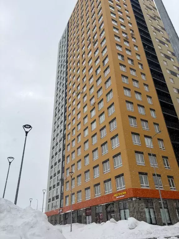 1-к кв. Нижегородская область, Нижний Новгород д. Анкудиновка, ул. ... - Фото 1