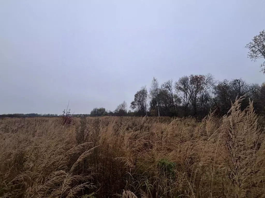 Участок в Московская область, Клин городской округ, д. Еросимово  ... - Фото 1