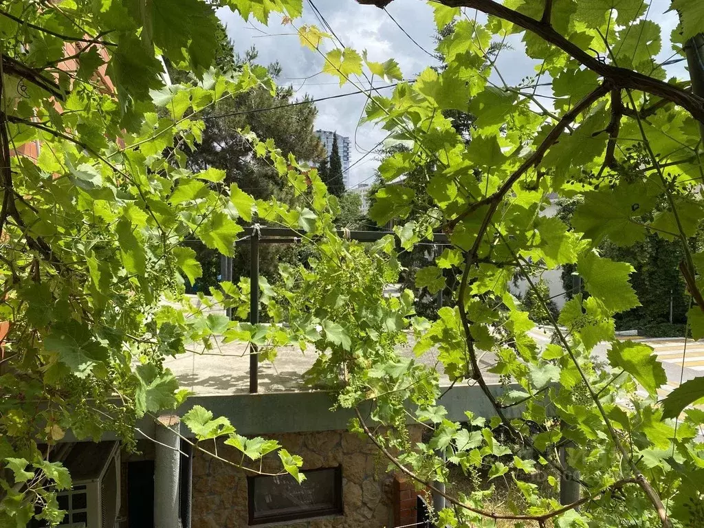 Дом в Краснодарский край, Геленджик Ульяновская ул., 56 (100 м) - Фото 1