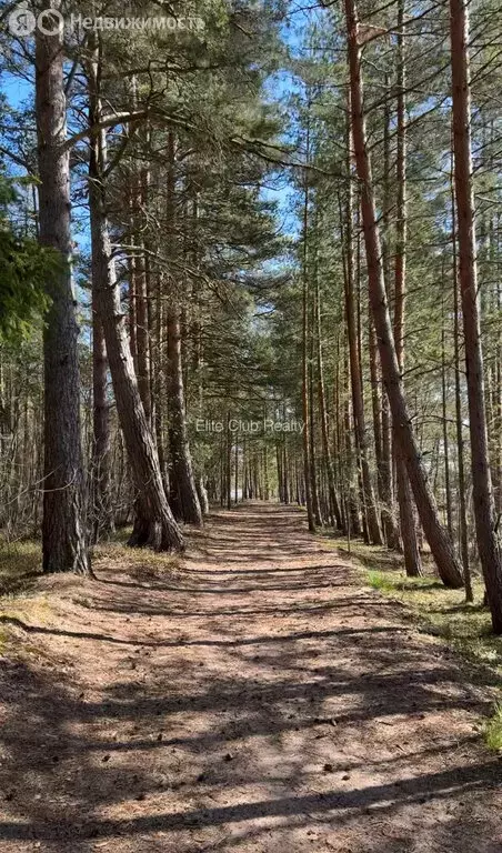 Участок в Плодовское сельское поселение, посёлок Кутузовское (25 м) - Фото 1