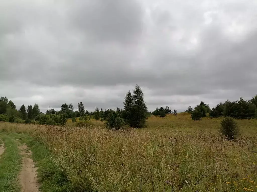 Участок в Тверская область, Конаковский муниципальный округ, д. Елдино ... - Фото 2