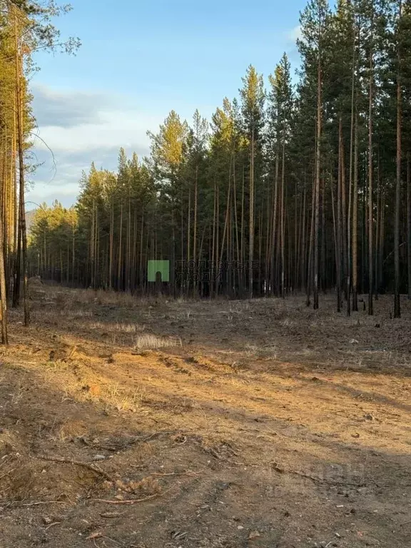 Участок в Забайкальский край, Читинский район, Атамановское городское ... - Фото 1