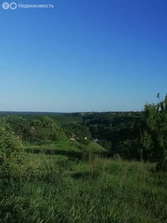 Участок в Рамонский район, Берёзовское сельское поселение, село ... - Фото 1