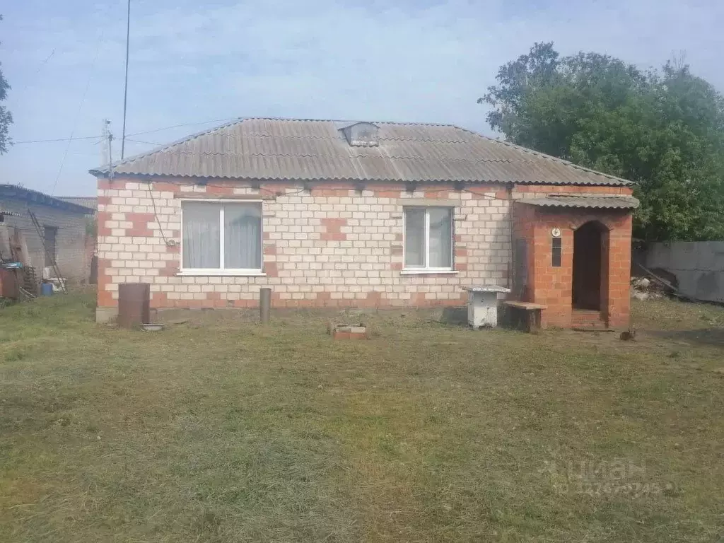 Дом в Амурская область, Ивановский муниципальный округ, с. Среднебелая ... - Фото 2