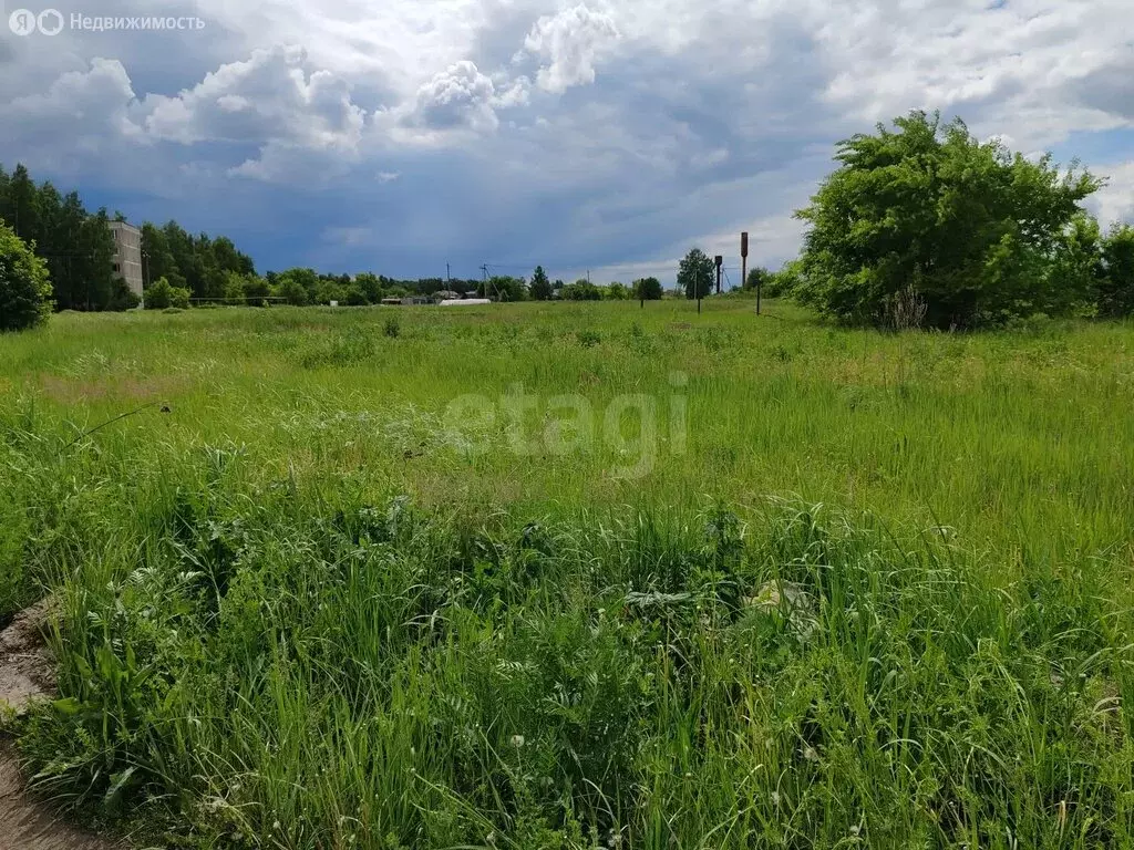 Участок в село Александровка, улица Долганова (14 м) - Фото 2