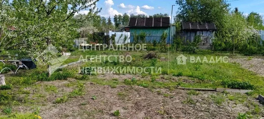 Участок в Рязанская область, Рязанский муниципальный округ, с. Тюшево ... - Фото 1