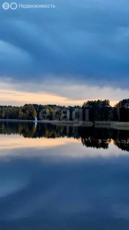 Участок в Нижегородская область, муниципальный округ Навашинский, село ... - Фото 1