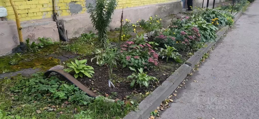 2-к кв. Тверская область, Тверь ул. Громова, 44 (56.7 м) - Фото 2