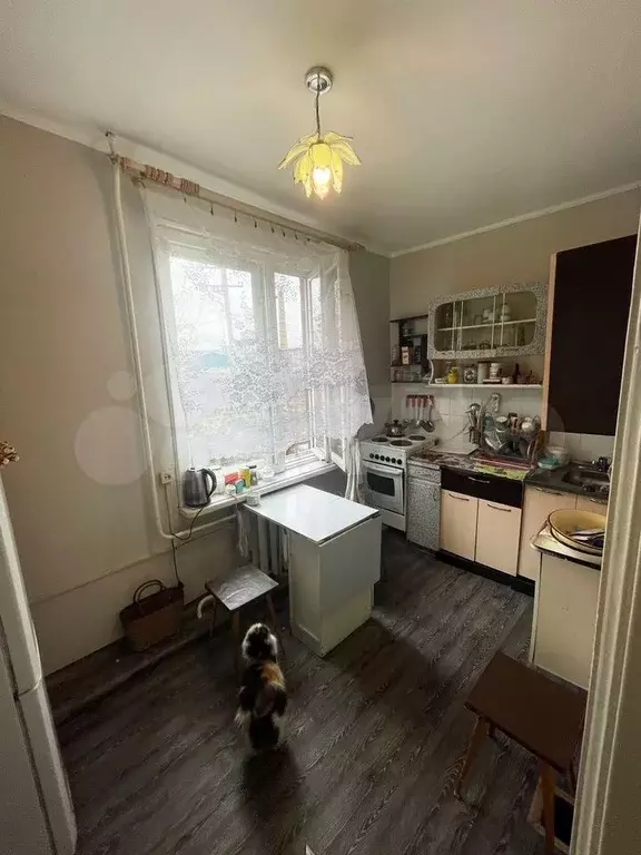 Комната 50,1 м в 2-к., 1/2 эт. - Фото 0