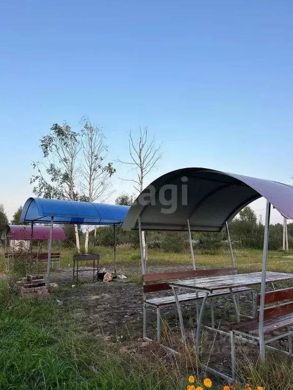 Офис в Ярославская область, с. Брейтово ул. Звездная, 2 (274 м) - Фото 2