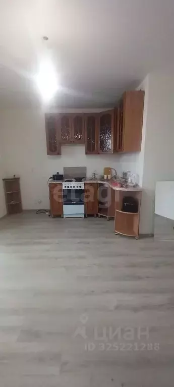 Студия Челябинская область, Челябинский городской округ, пос. Западный ... - Фото 1