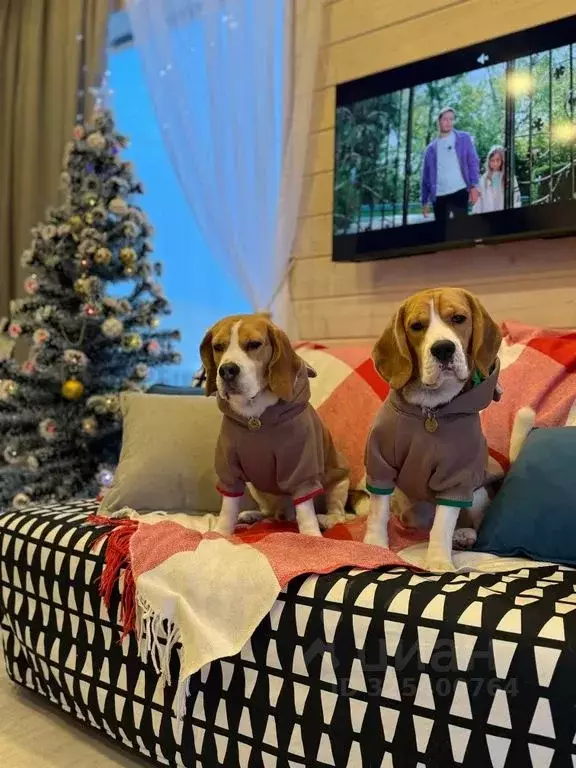 Дом в Ленинградская область, Тосненский район, Федоровское городское ... - Фото 1