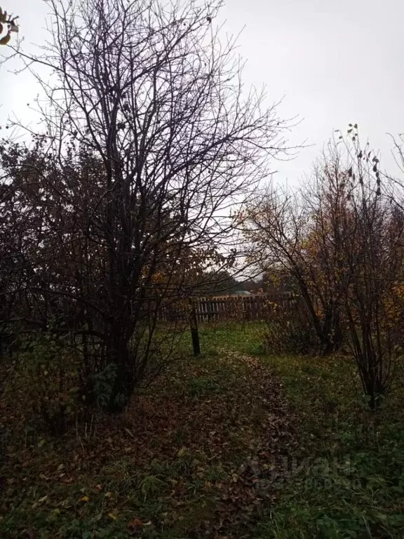 Участок в Татарстан, Менделеевск ул. Гора Революции, 53 (22.0 сот.) - Фото 2