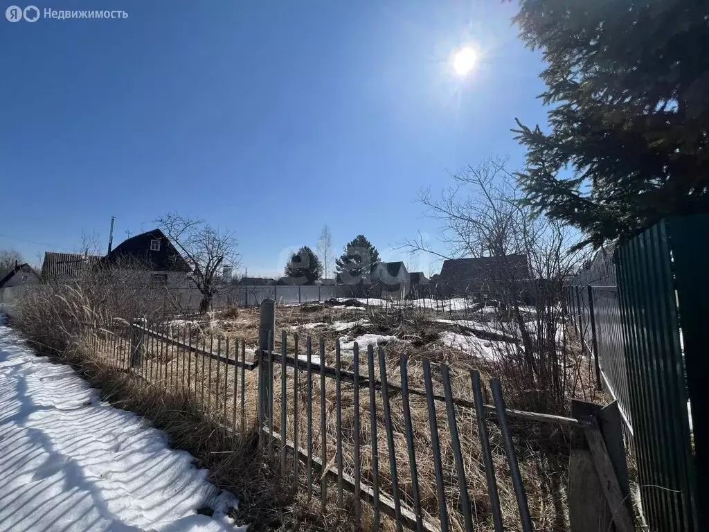 Участок в Нетьинское сельское поселение, СДТ Машиностроитель (5 м) - Фото 2