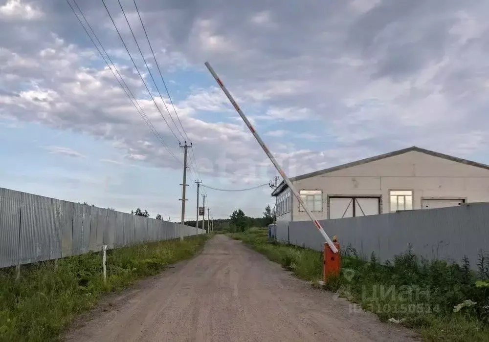 Участок в Ленинградская область, Всеволожский район, Колтушское ... - Фото 1