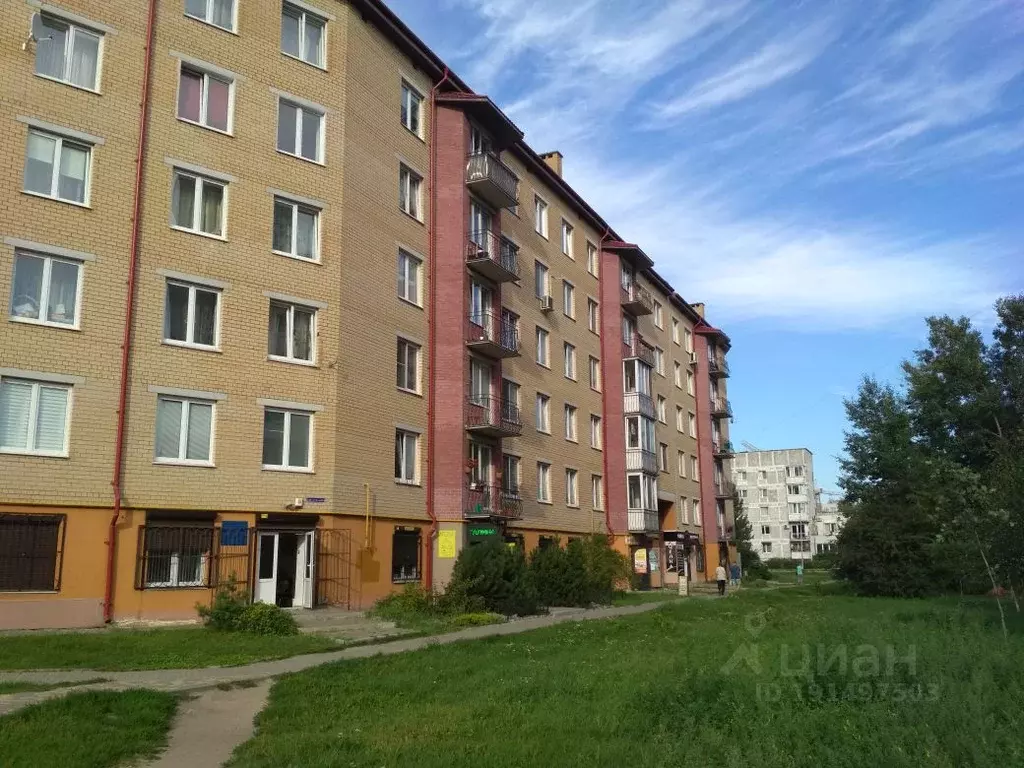 Офис в Калининградская область, Калининград ул. Аксакова, 102Б (49 м) - Фото 0