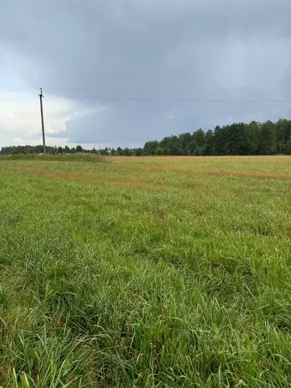 Участок в Ивановская область, Ивановский район, Балахонковское с/пос, ... - Фото 2