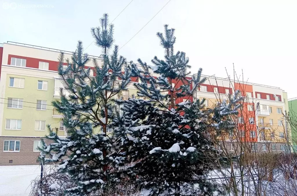 1-комнатная квартира: Санкт-Петербург, Юнтоловский проспект, 51к3 ... - Фото 1