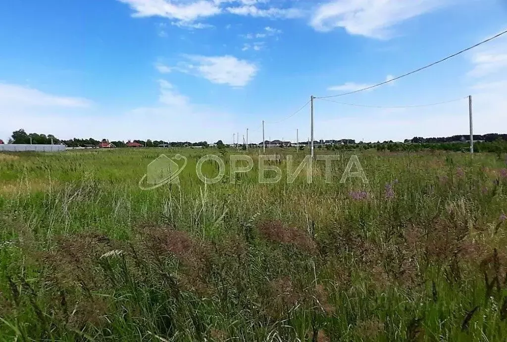 Участок в Тюменская область, Тюменский район, с. Борки  (54.65 сот.) - Фото 0
