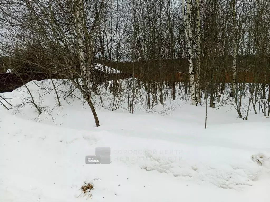 Участок в Московская область, Одинцовский городской округ, д. Иглово ... - Фото 2