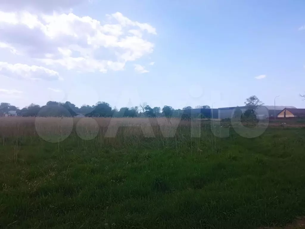 Участок 10 сот. (СНТ, ДНП) - Фото 0