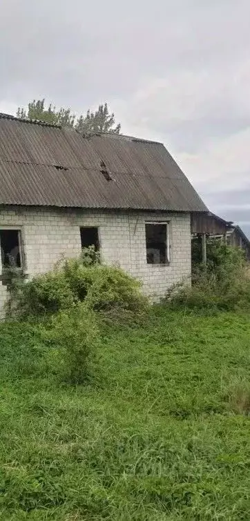 Участок в Брянская область, Карачевский район, Верхопольское с/пос, д. ... - Фото 1