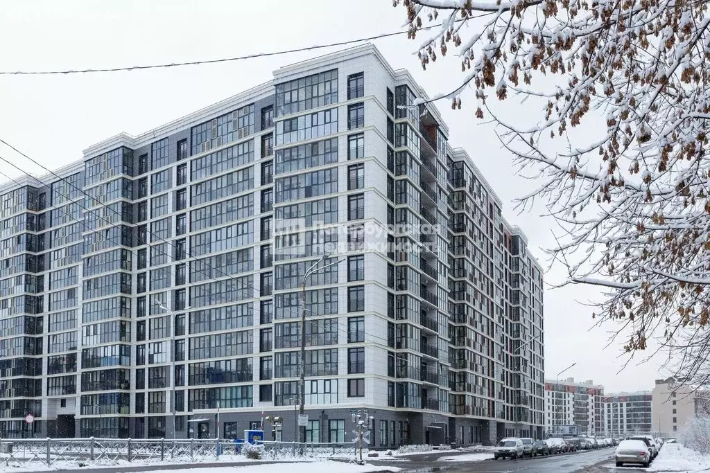 Квартира-студия: Санкт-Петербург, Черниговская улица, 17 (30 м) - Фото 2