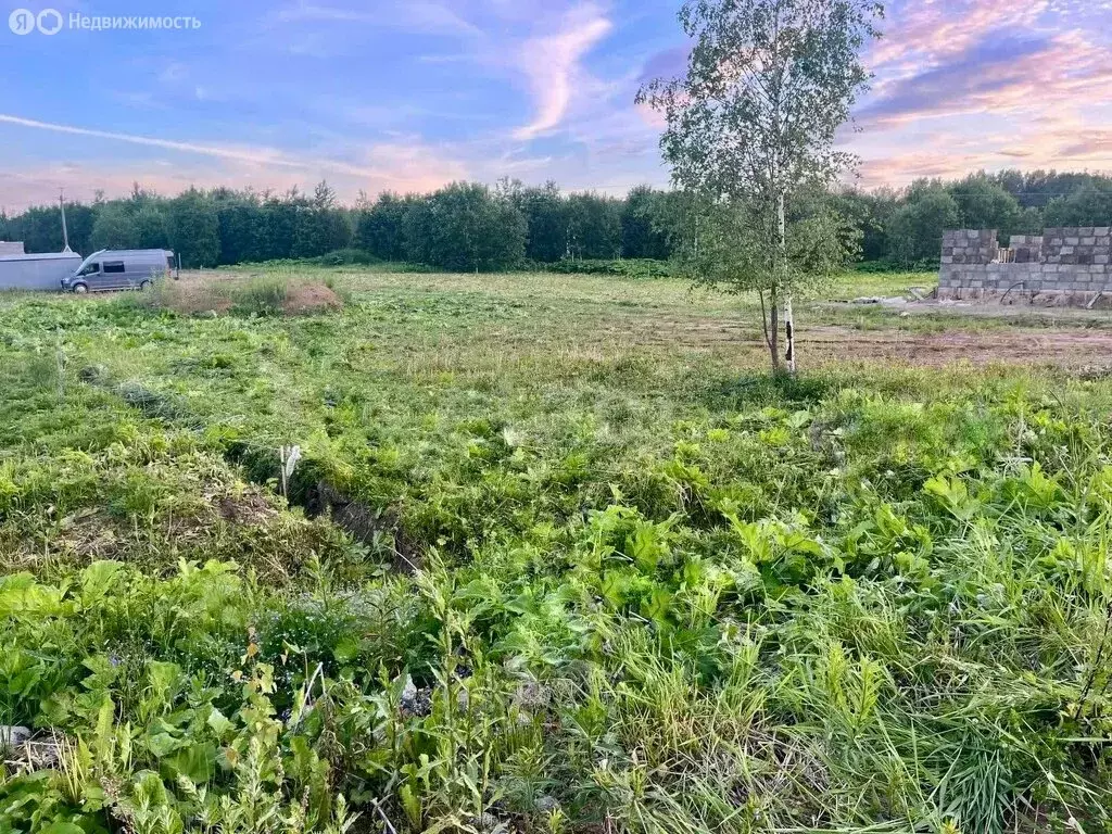 Участок в село Выльгорт, посёлок Снегири (15.38 м) - Фото 1