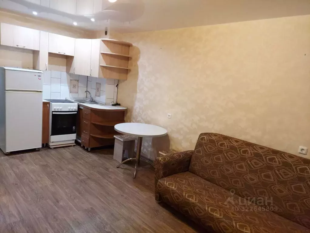 Студия Кировская область, Киров ул. Ленина, 184к3 (27.0 м) - Фото 2