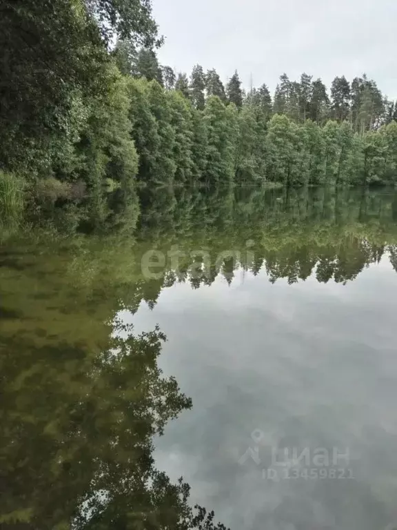 Участок в Марий Эл, Волжск Лесная ул. (10.0 сот.) - Фото 1