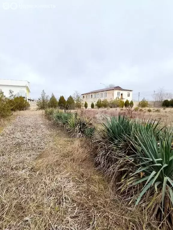 Участок в Литвиненково, Житомирская улица (5.5 м) - Фото 2