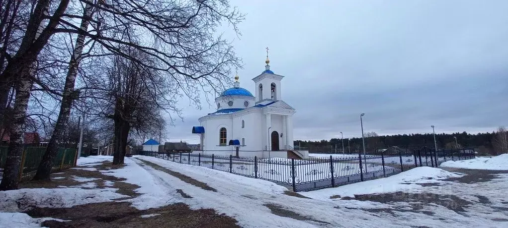 Дом в Калужская область, Думиничский район, с. Чернышено пер. Ильина, ... - Фото 0