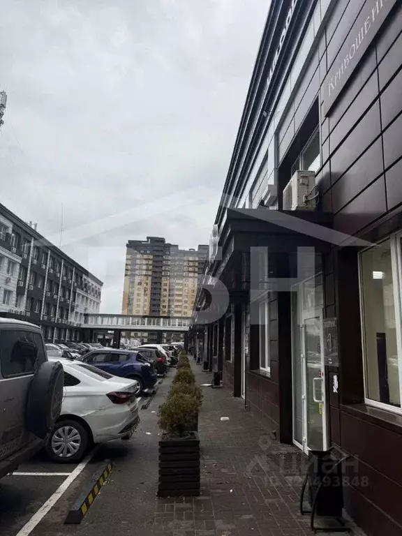 Торговая площадь в Воронежская область, Воронеж ул. Кривошеина, 13 ... - Фото 2