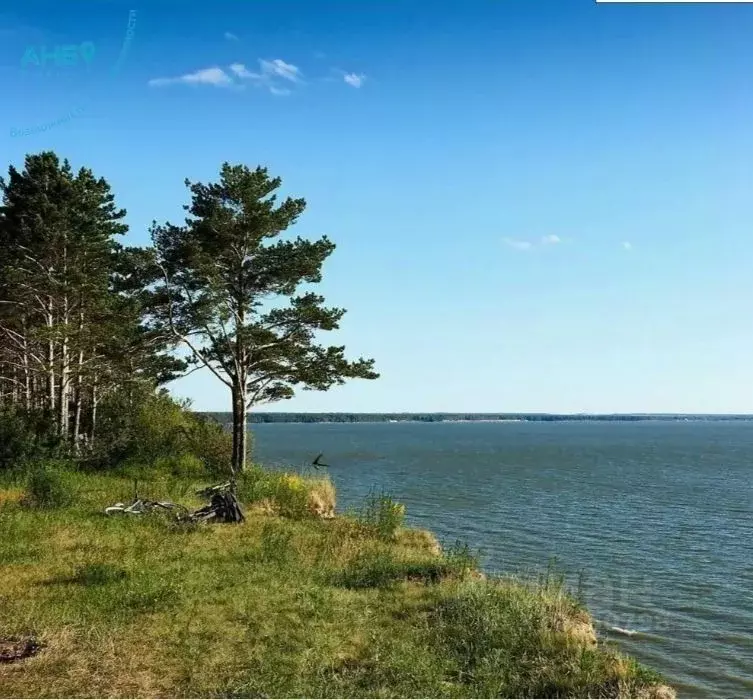 Участок в Новосибирская область, Новосибирский район, с. Боровое  ... - Фото 0