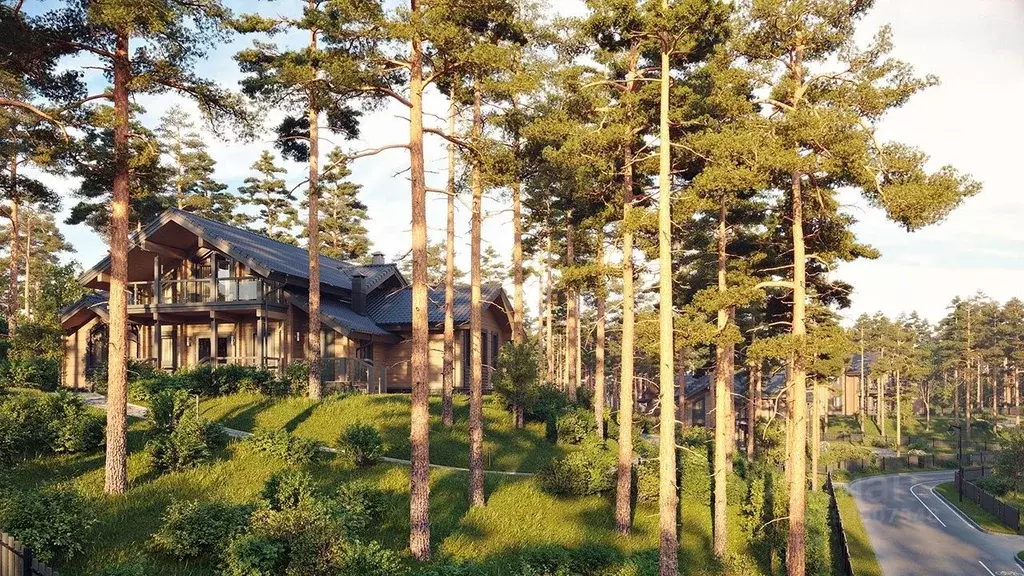 Участок в Ленинградская область, Всеволожский район, Куйвозовское ... - Фото 2