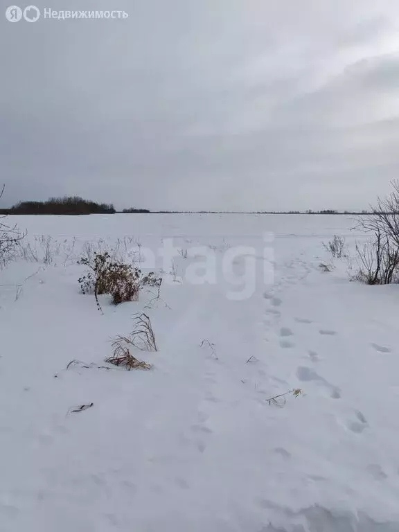 Участок в Тюмень, Ленинский округ (8.11 м) - Фото 1