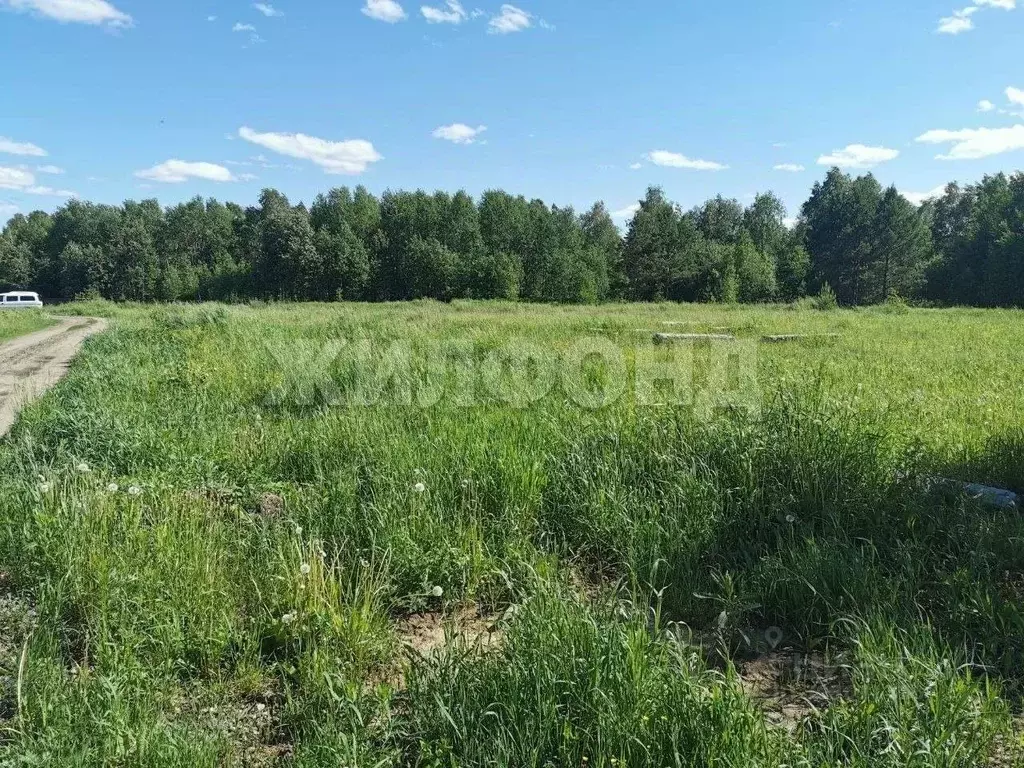 Участок в Томская область, Томский район, с. Кафтанчиково ул. ... - Фото 1