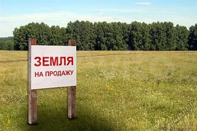 Участок 8 сот. (СНТ, ДНП) - Фото 0