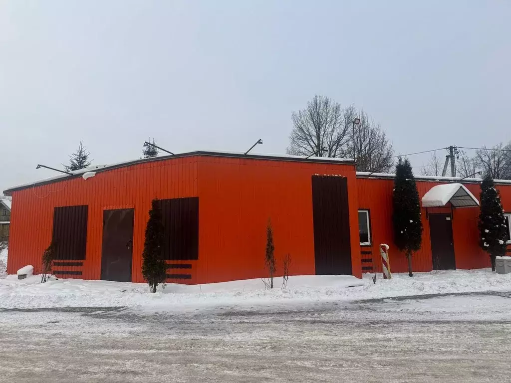 Помещение свободного назначения в Псковская область, Плюсский ... - Фото 1