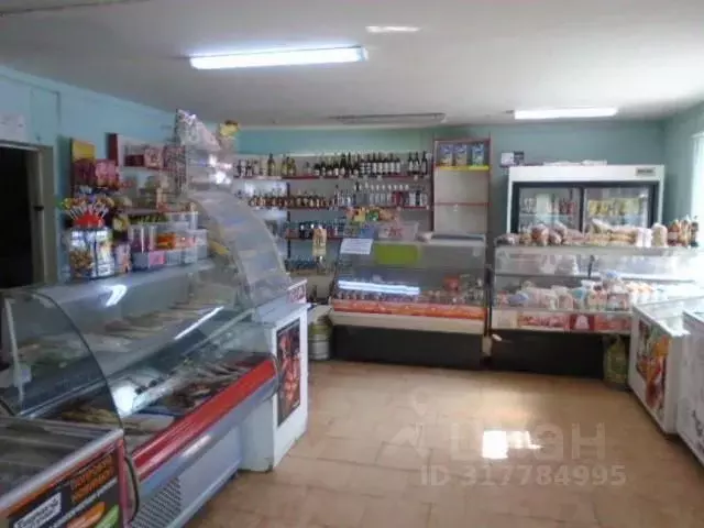 Помещение свободного назначения в Волгоградская область, Дубовка ул. ... - Фото 1
