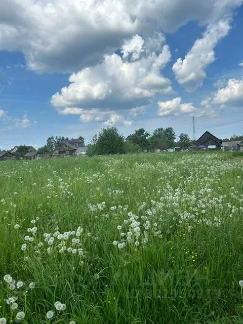 Участок в Ярославская область, Рыбинский район, с. Глебово  (13.0 ... - Фото 1