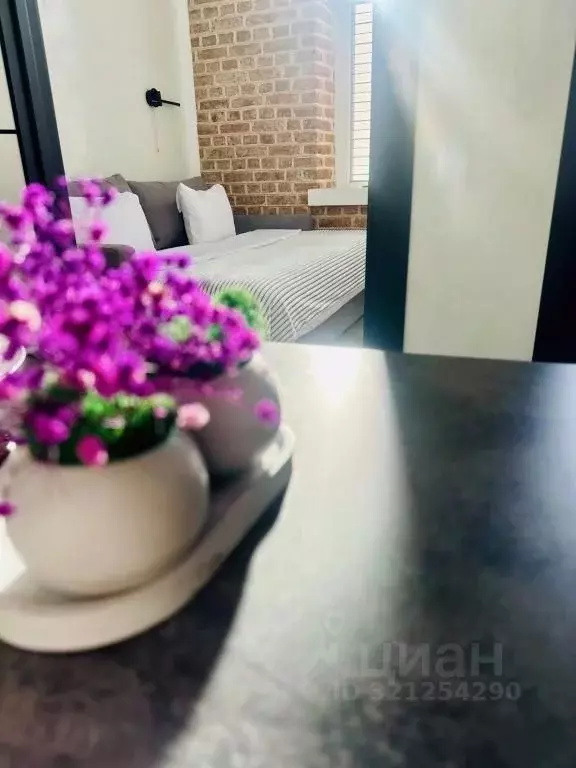 2-к кв. Ленинградская область, Выборг ул. Сторожевой Башни, 12 (30.0 ... - Фото 1