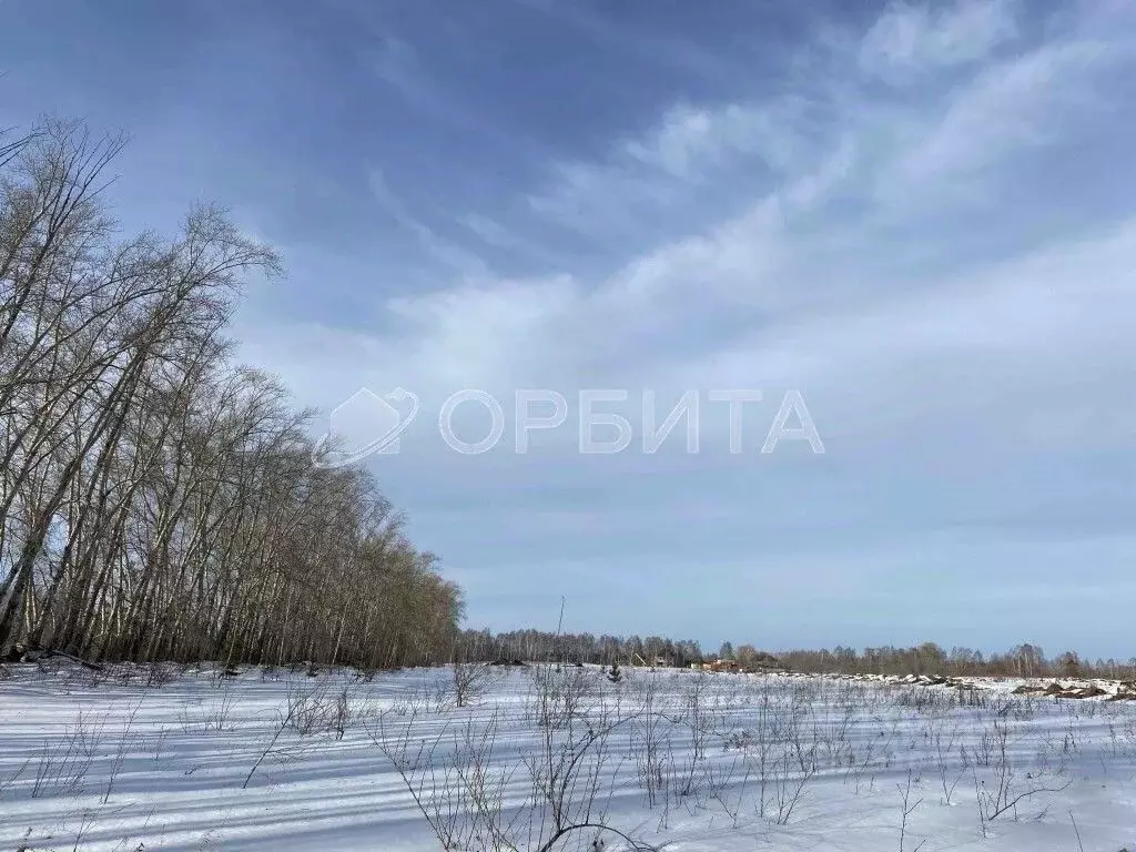 Участок в Тюменская область, Тюменский район, с. Луговое Плодовая ул. ... - Фото 0