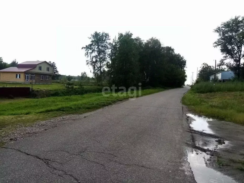 Участок в Алтайский край, Смоленский район, пос. Верх-Обский Лесная ... - Фото 2